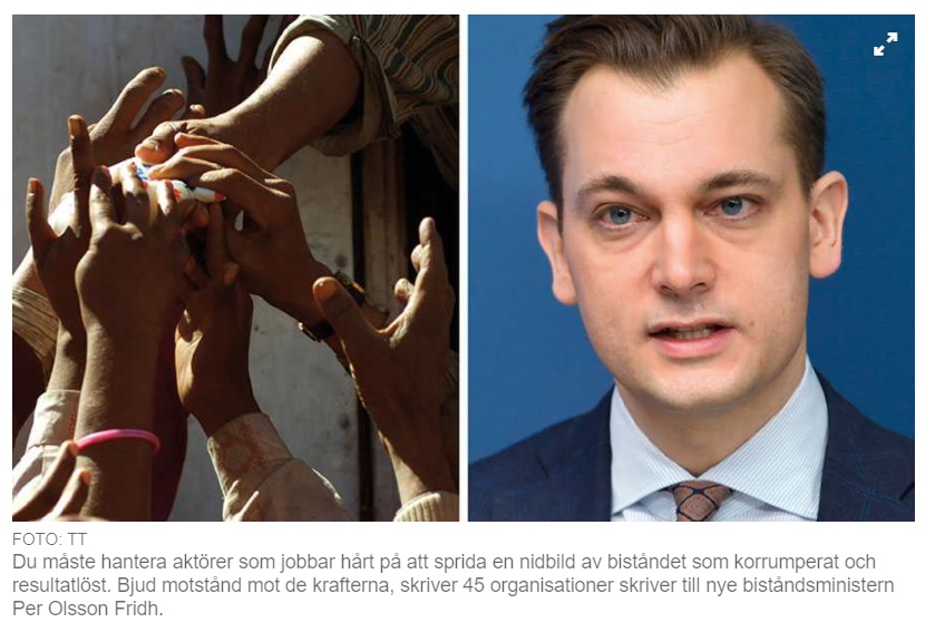 Skärmbild av debattartikeln